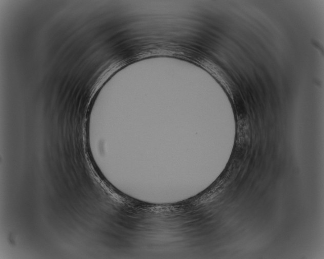 X0000097480906200803201507