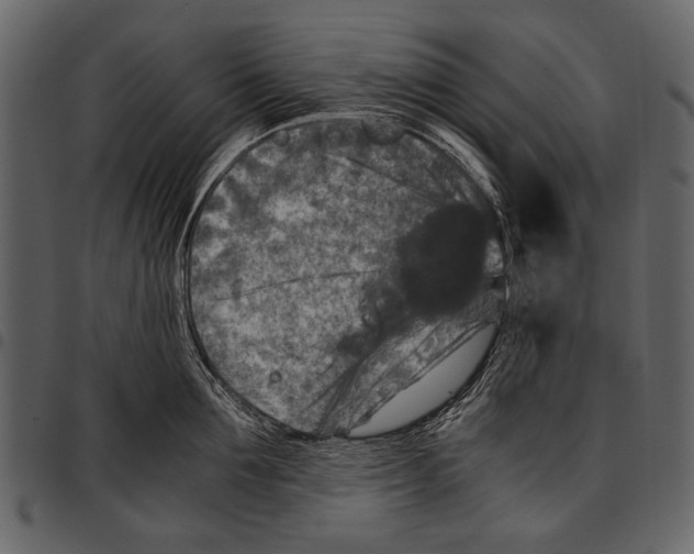 X0000097480907200803201507