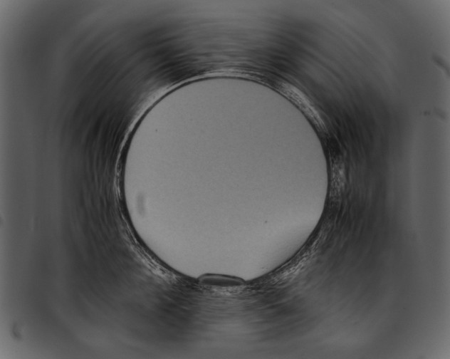 X0000097480908200803201507