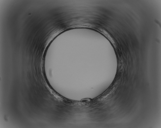 X0000097480909200803201507