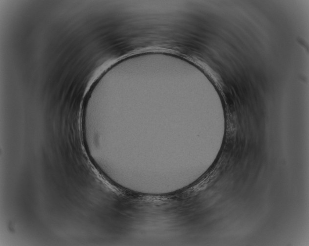 X0000097480910200803201507