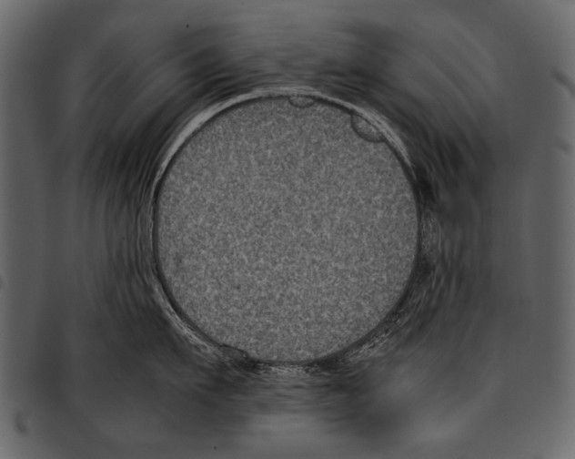 X0000097480911200803201507