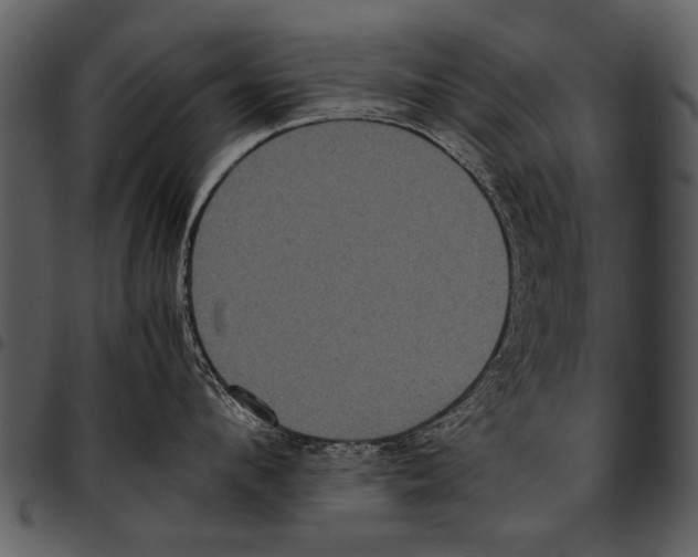 X0000097480912200803201507