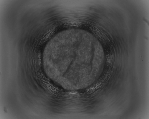 X0000097480916200803201506