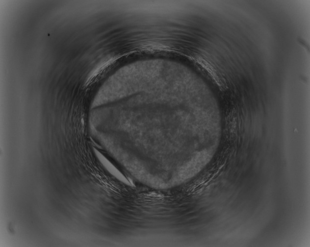 X0000097480919200803201506