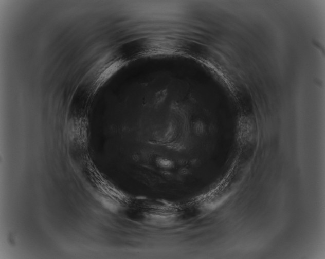 X0000097480921200803201506