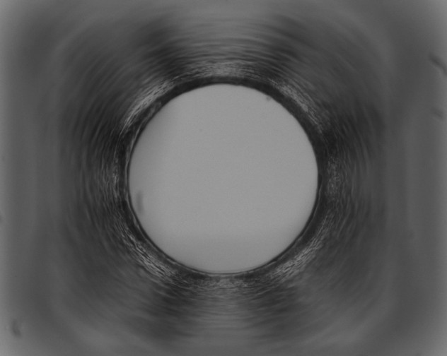 X0000097480922200803201506