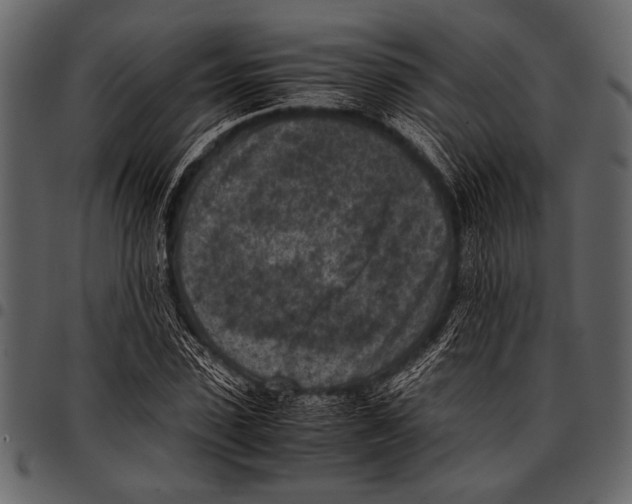 X0000097480923200803201506