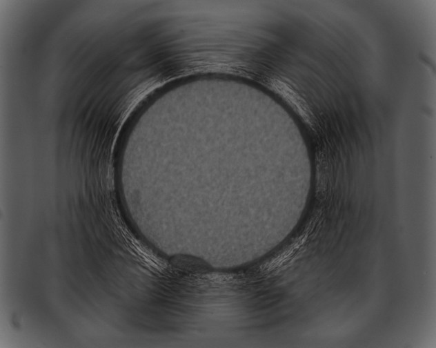 X0000097480924200803201506