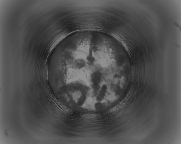 X0000097480925200803201506