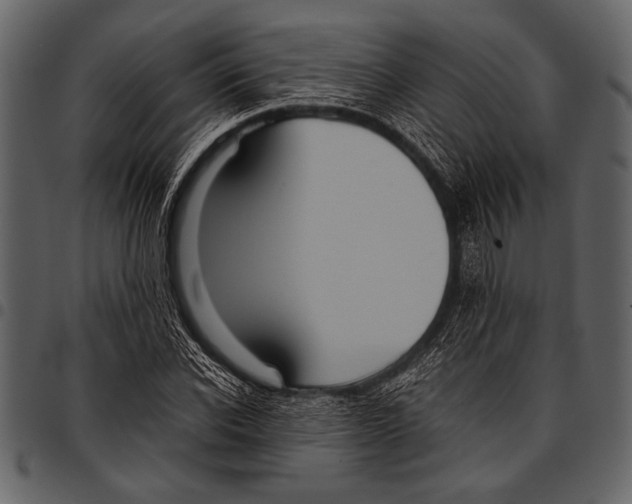 X0000097480926200803201506