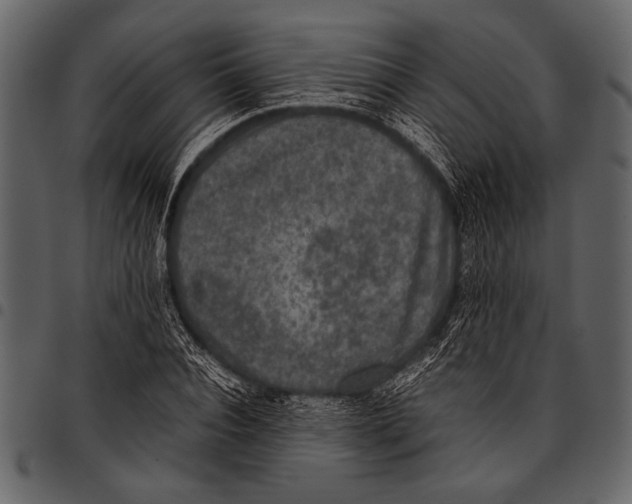 X0000097480928200803201506