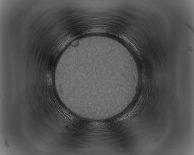 X0000097480929200803201506