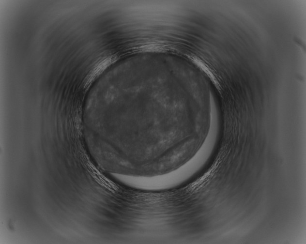 X0000097480930200803201506