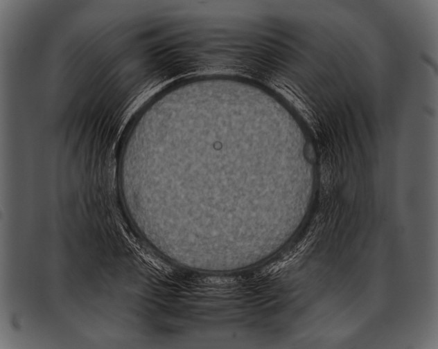 X0000097480933200803201506