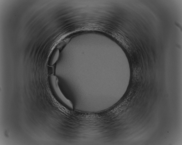 X0000097480934200803201506