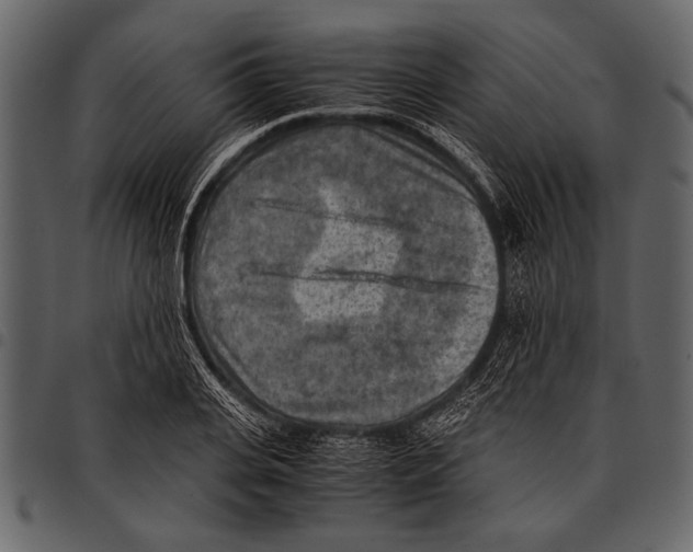 X0000097480935200803201506