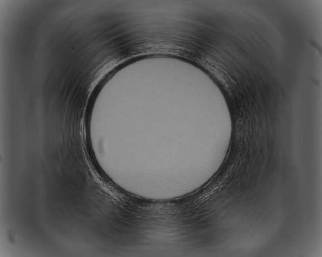 X0000097480936200803201506