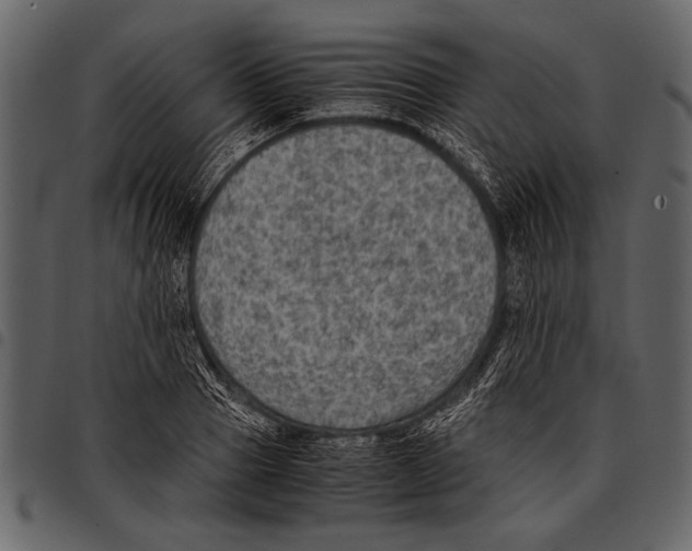 X0000097480937200803201506