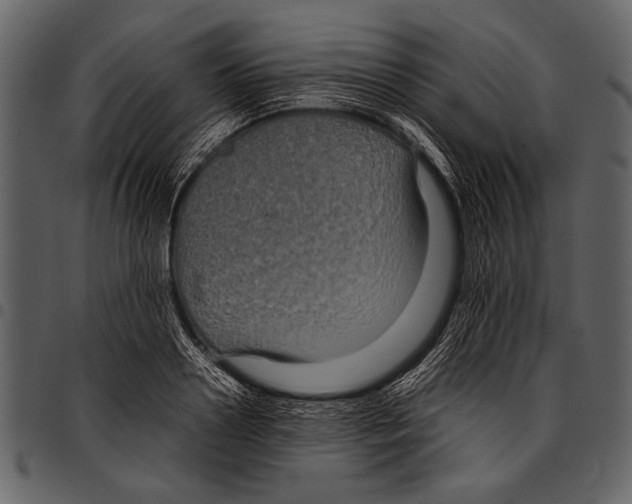 X0000097480938200803201506