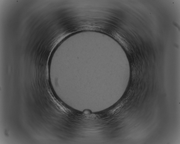 X0000097480940200803201506