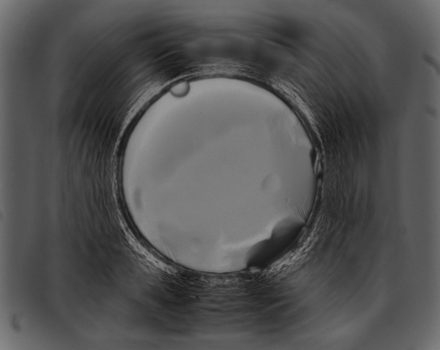 X0000097480941200803201506