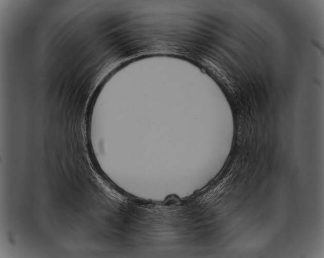 X0000097480942200803201506