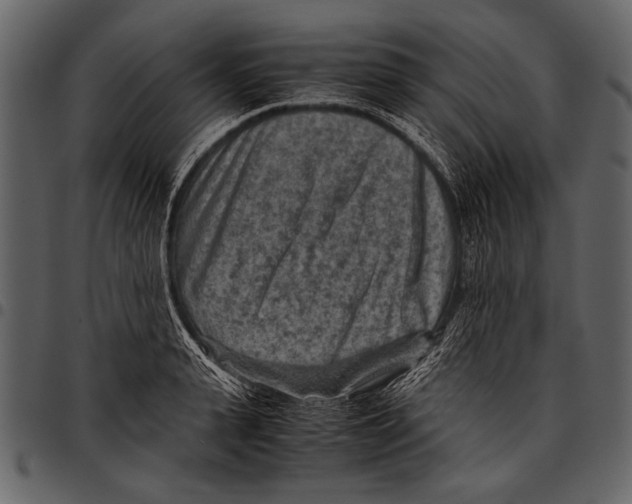 X0000097480943200803201506