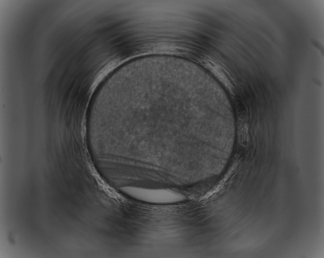 X0000097480944200803201506