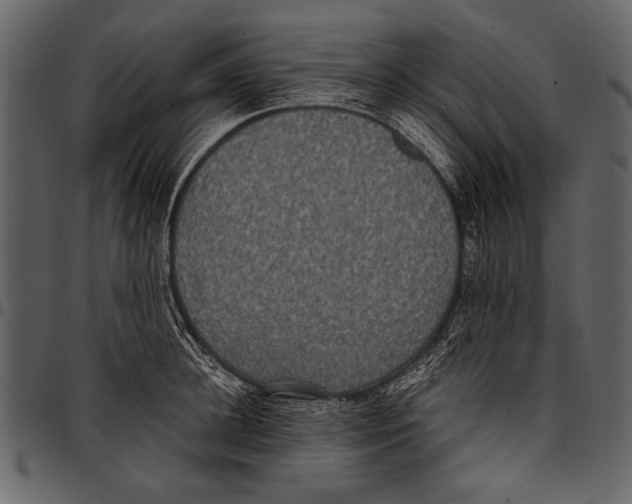 X0000097480948200803201506