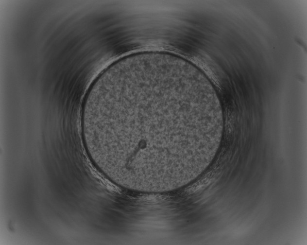 X0000097480950200803201506