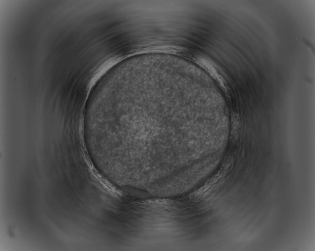 X0000097480952200803201506