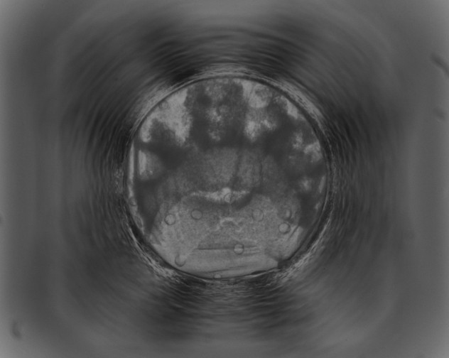 X0000097480953200803201506