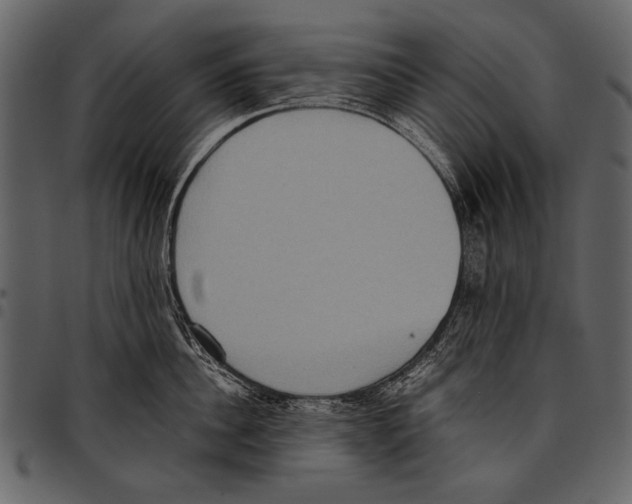 X0000097480956200803201506