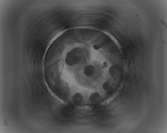 X0000097480957200803201506