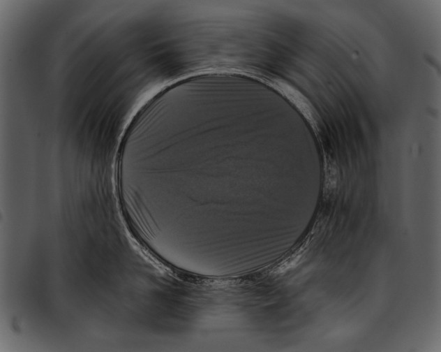 X0000097480958200803201506