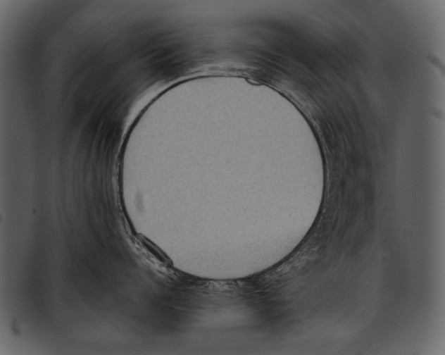 X0000097480960200803201506