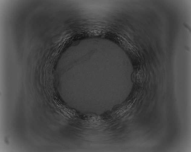 X0000097480961200803201506