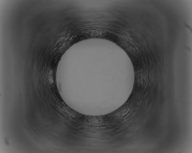 X0000097480962200803201506