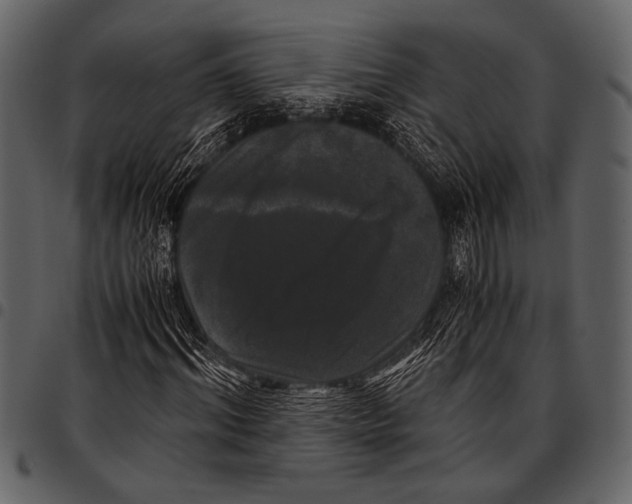 X0000097480964200803201506