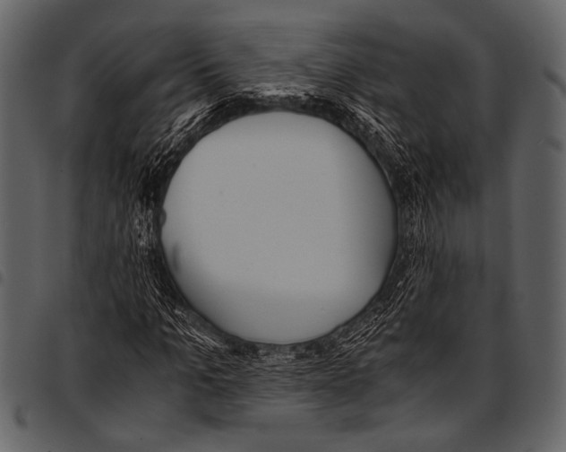 X0000097480965200803201506