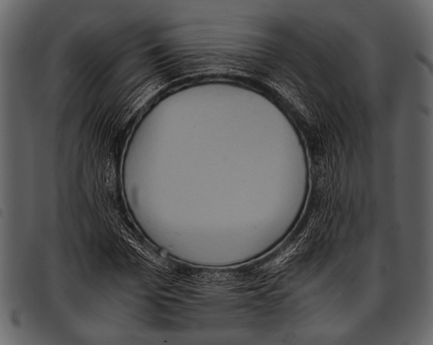 X0000097480969200803201506