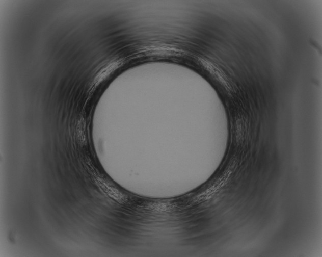 X0000097480970200803201506