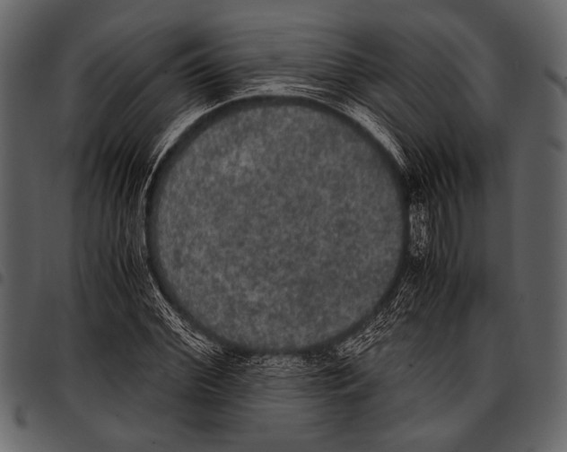 X0000097480972200803201506