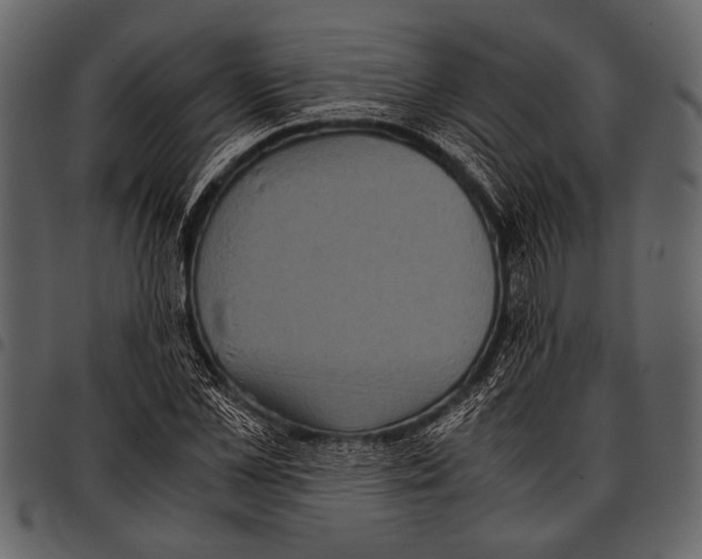 X0000097480973200803201506