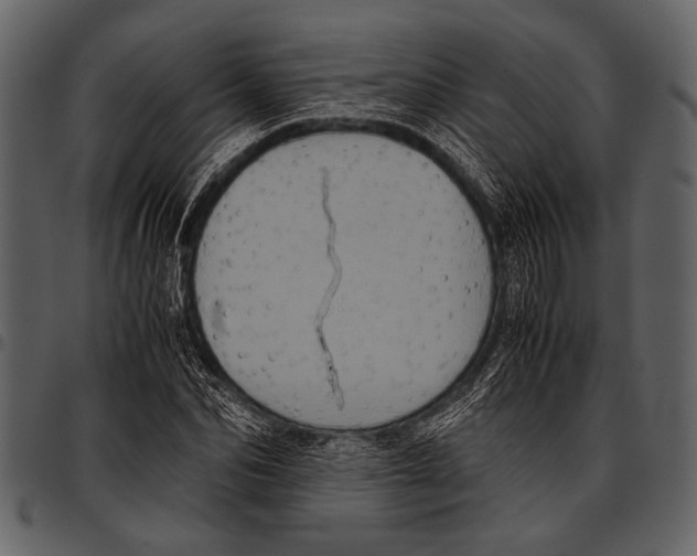 X0000097480974200803201506