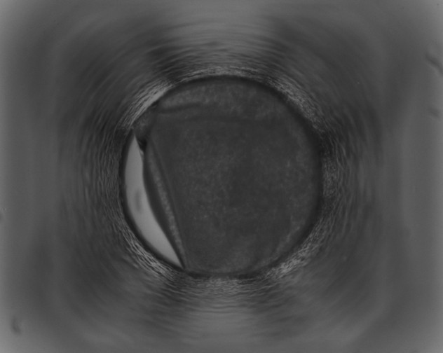 X0000097480977200803201506