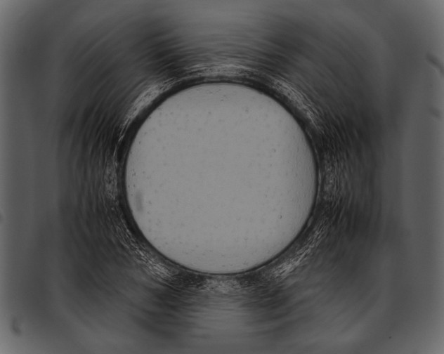 X0000097480978200803201506