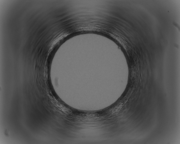 X0000097480979200803201506