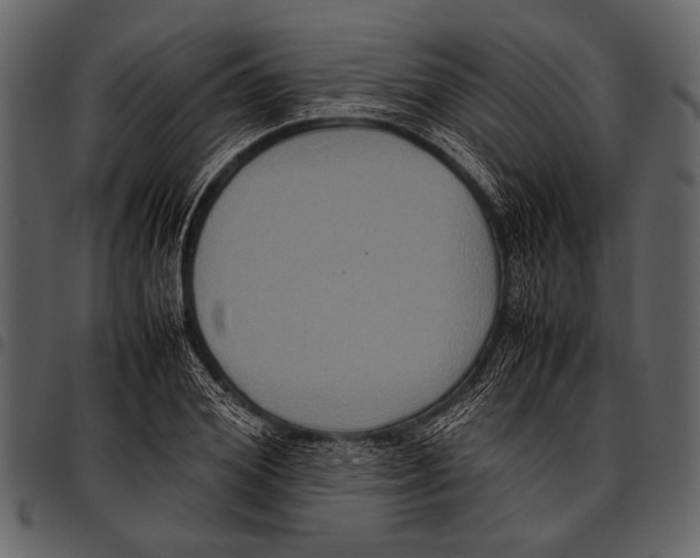 X0000097480980200803201506